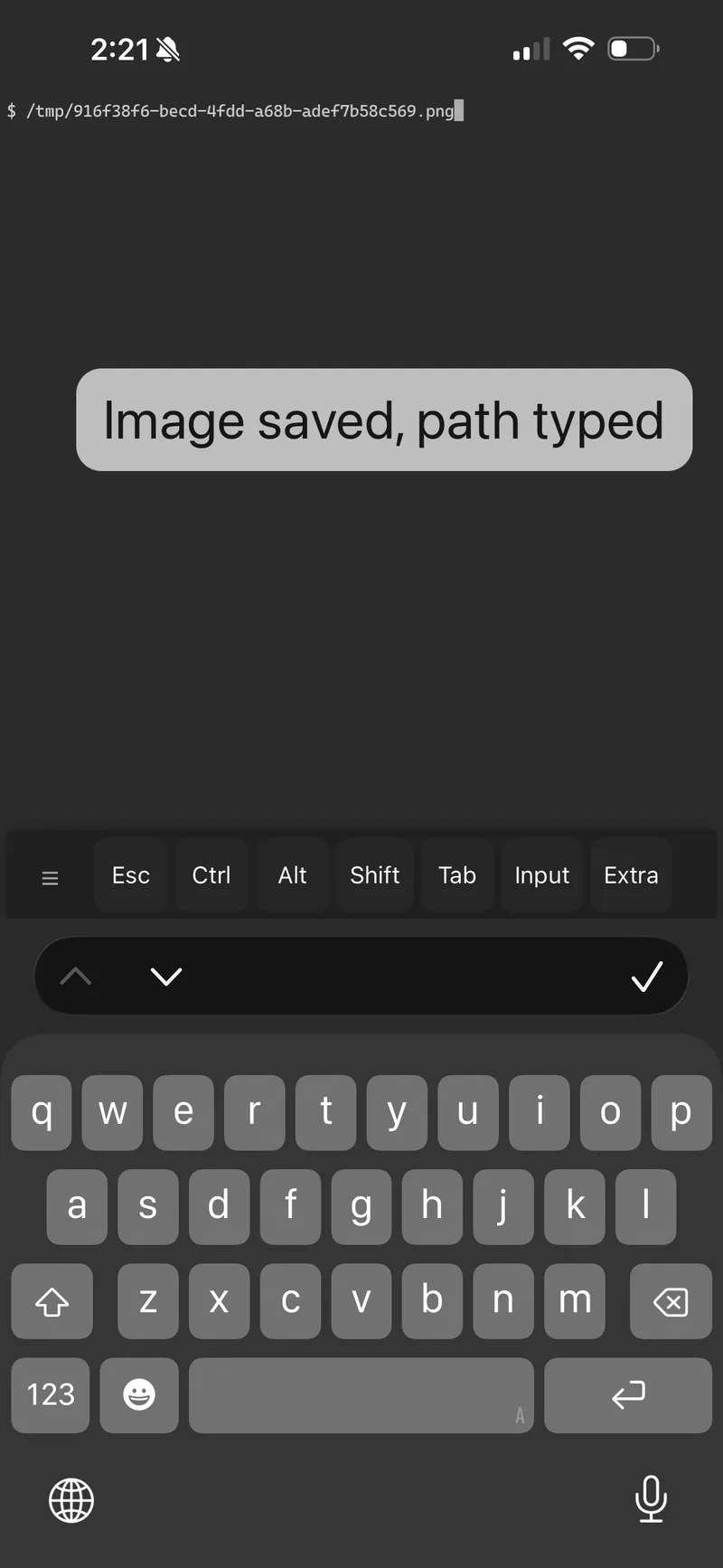 Terminal showing "Image saved, path typed" after pasting a screenshot