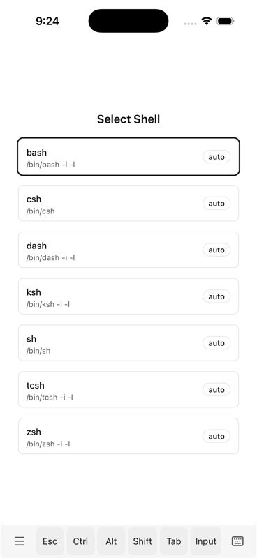 Shell picker showing bash, csh, dash, ksh, sh, tcsh, zsh with /bin/* paths