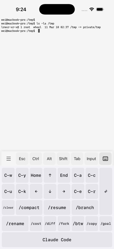 Native Claude Code keyboard layout with C-w C-y Home arrows End C-a C-c, /clear /compact /resume /branch, /rename /cost /diff /fork /btw /copy /goal