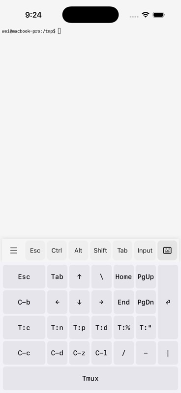Native Tmux keyboard layout with Esc, Tab, arrows, C-b prefix, T:c T:n T:p T:d T:% T:", C-c C-d C-z C-l