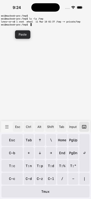 Floating Paste popup over terminal output after a tap