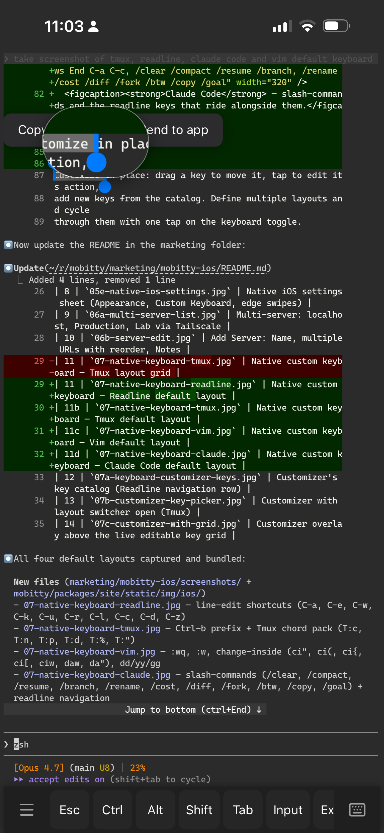 Terminal selection with handles, floating Copy menu, and circular magnifier loupe showing zoomed-in text